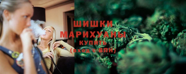 ГАЛЛЮЦИНОГЕННЫЕ ГРИБЫ Липки