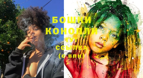 ГАЛЛЮЦИНОГЕННЫЕ ГРИБЫ Липки