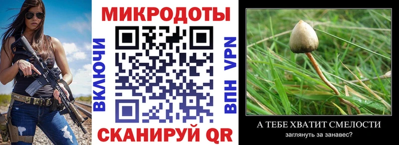 Псилоцибиновые грибы MAGIC MUSHROOMS закладки Дегтярск
